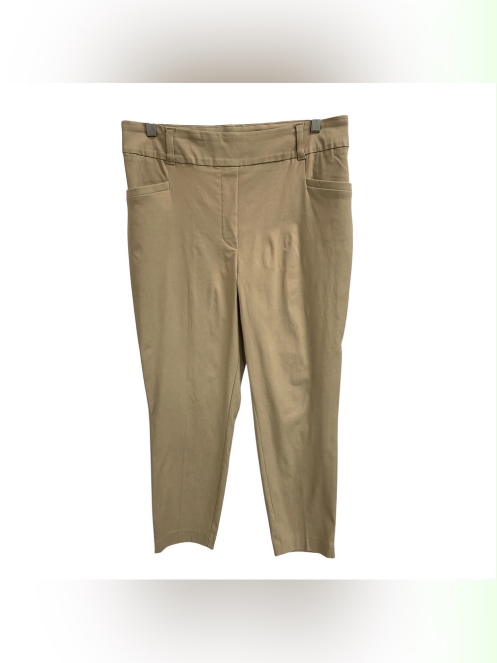 Reitmans Olive-Tan Pull-On Ankle Pants Size L
